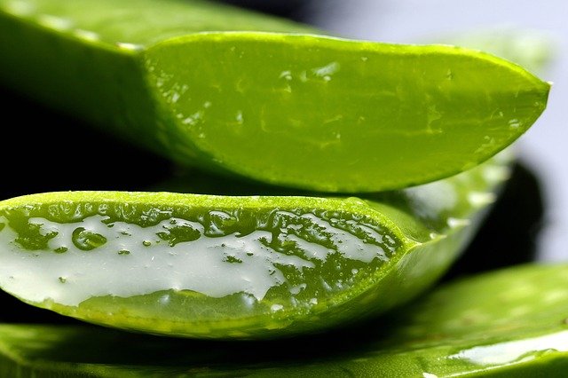 aloes na trądzik