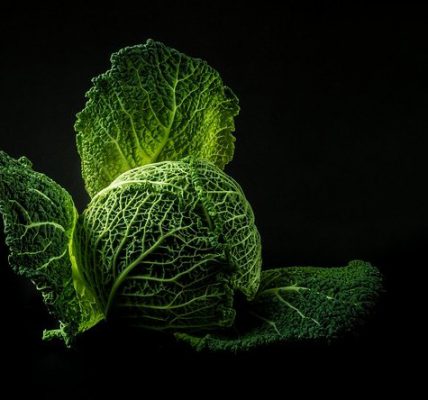 dieta kapuściana efekty